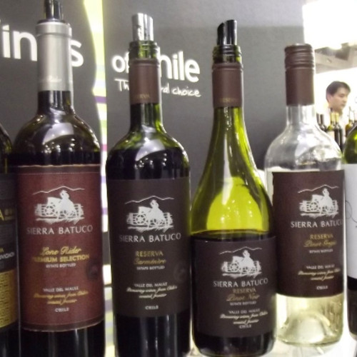 Seleção de vinhos tintos e brancos Sierra Batuco.jpg