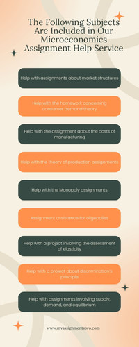 Microeconomics Assignment Help.jpg