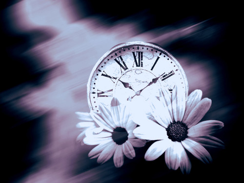 Flowers and Clocks.jpg