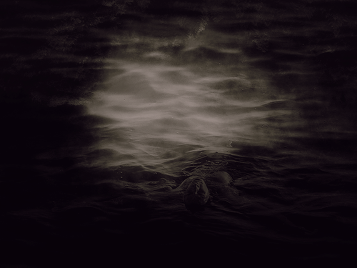 vagabondtextures eliza5.png