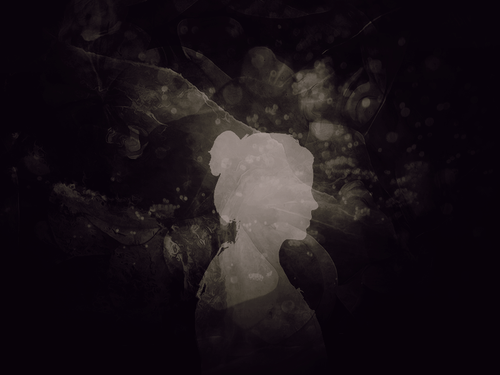 vagabondtextures eliza7.png