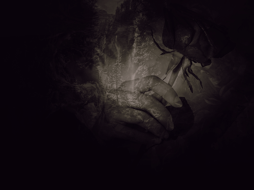 vagabondtextures eliza8.png