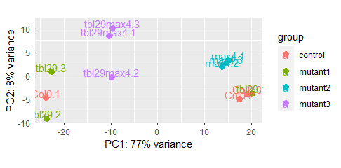 PCA plot