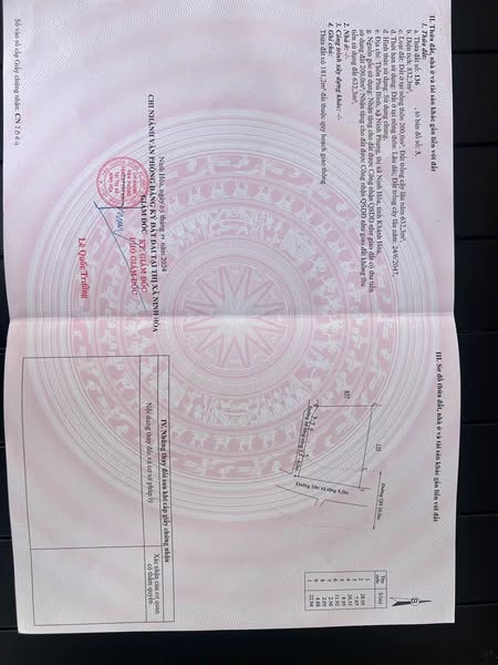 470200786 1106423664555125 6718704405896107499 n.jpg