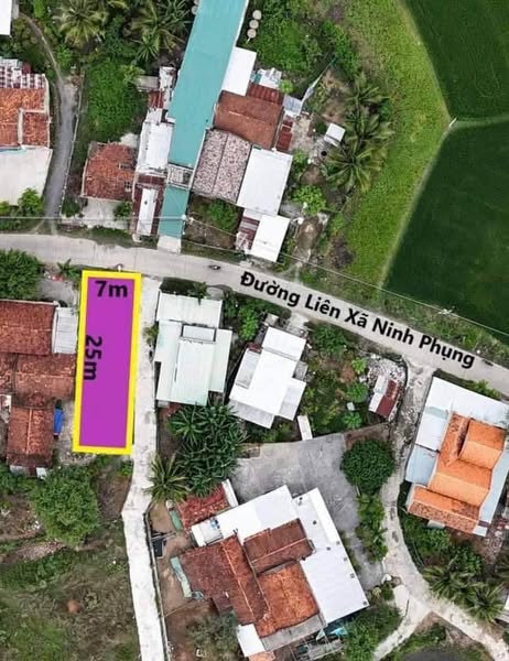 470210894 1106423661221792 3470290196764252131 n.jpg