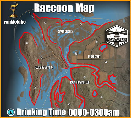 raccoon map salzwiesen