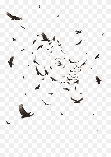 flight of birds bird.png