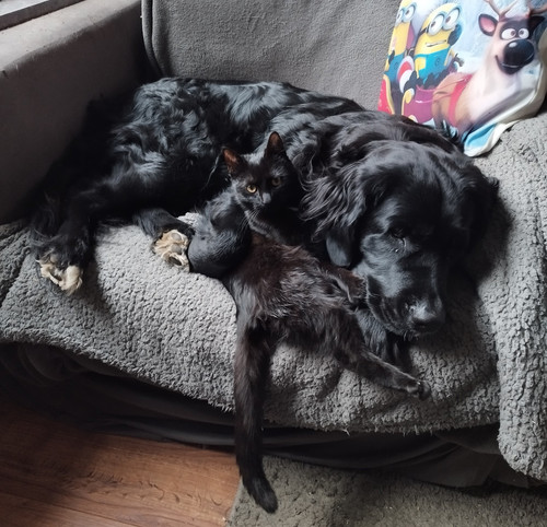 Screenshot 20241212 233751