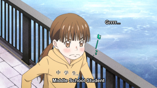 [Erai raws] 3 gatsu no Lion 17 [1080p][Multiple Subtitle][91DD0990].mkv snapshot 14.14 [2024.11.20 2.jpg