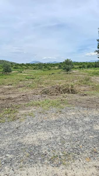 470140979 3151155708389629 7185485205827471993 n.jpg