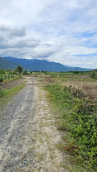 470187381 3151155791722954 594692752742023397 n.jpg