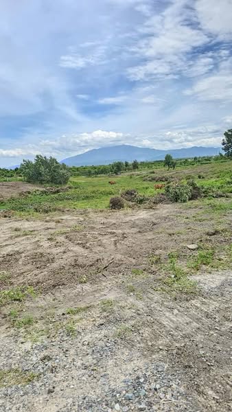 470174834 3151155745056292 6232920059838872480 n.jpg