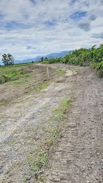 470132682 3151155825056284 2137752062813879661 n.jpg