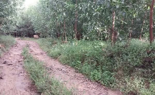 470184950 606027658541919 116265847653341754 n.jpg