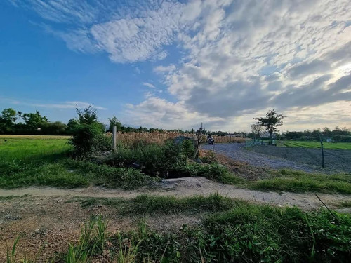 470144693 122126882282556963 631891309442511863 n.jpg