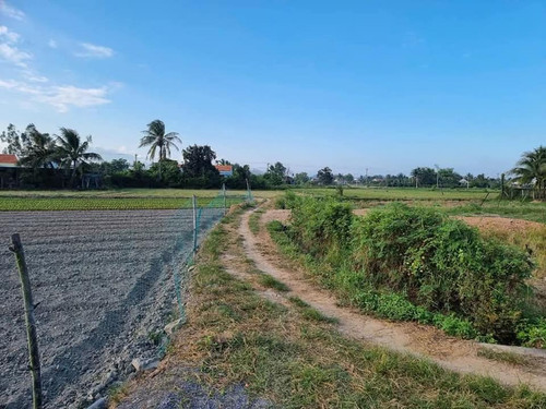 470200694 122126882054556963 3984511174551033907 n.jpg