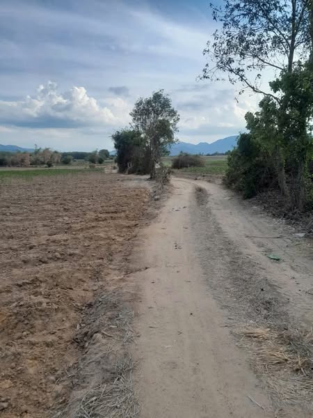 470128970 566007492990510 7014333031912228206 n.jpg