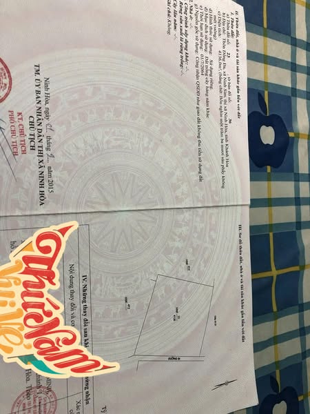 470026546 566007546323838 3601617950510624512 n.jpg