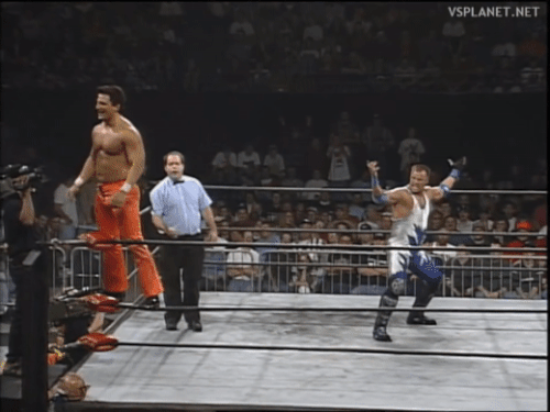 f262w3pquq981.gif