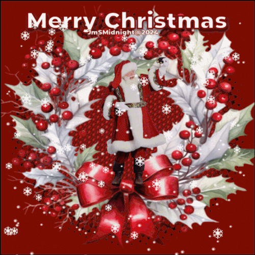 Merry Christmas 2024 12 1.gif