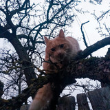 2024 12 01 08 27 40 DxO