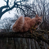 2024 12 01 08 26 51 DxO