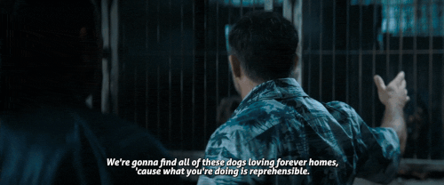 v3 093.gif