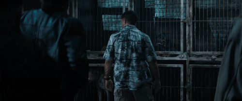 v3 081.gif