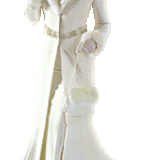 240x462 Sniezynka.gif