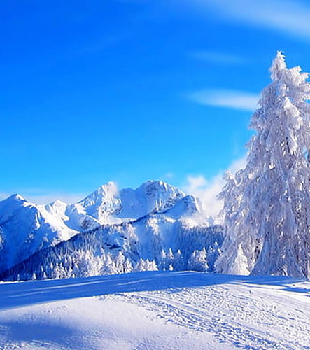 620x700 ZimowaTapeta.png