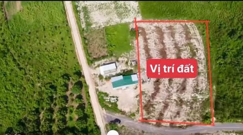 470231166 1116672093320247 1626618030506422099 n.jpg