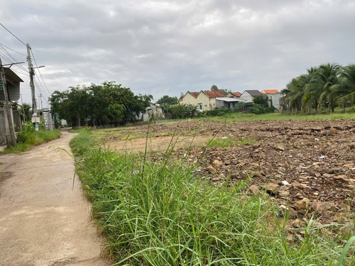 468596277 2361413450870269 6186328928586232445 n.jpg