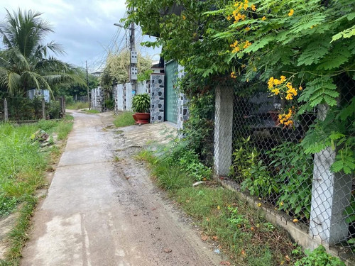 468837460 2361413344203613 9194653174132172925 n.jpg