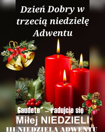 530x663 III Niedziela Adwentu Gaudete.png
