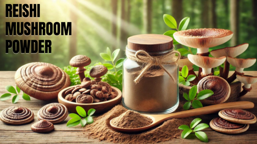 Reishi Mushroom Powder 2211.png