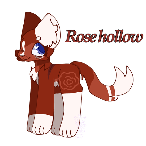 Untitled599 20241122174855