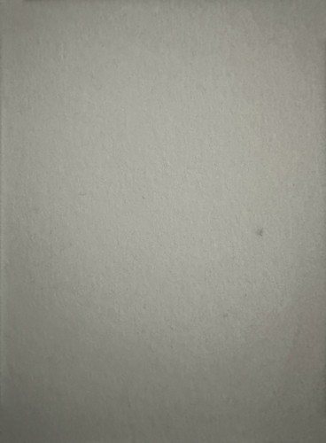 68.jpg