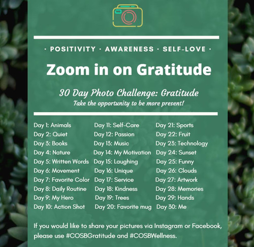 Zoom in on Gratitude Flyer.jpg