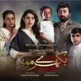 t71 bikhray moti card