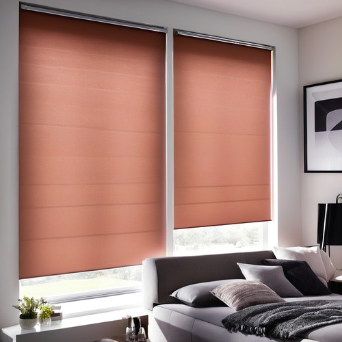 Dual Roller Shades Kelowna.jpg