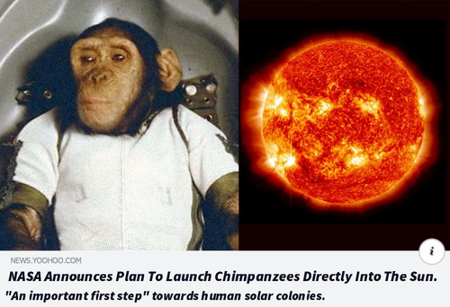 Solar Chimps