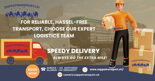 Zappa transport 7.png
