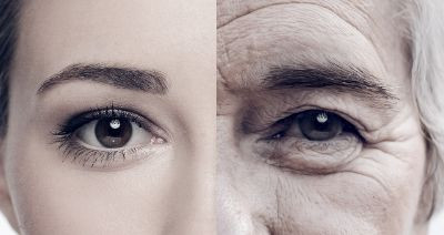 Age Difference Calculator - Find the Gap Instantly!.jpg