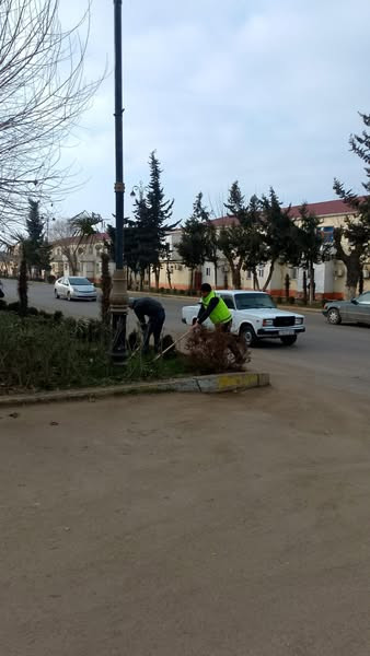 475517604 1024058649751508 9120833225017834711 n.jpg?stp=dst jpg s600x600 tt6& nc cat=110&ccb=1 7& n.jpg