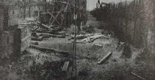 757923974595373460?url=https%3A%2F%2Fmemorie.al%2Fwp content%2Fuploads%2F2024%2F01%2FKampi i Ballshi.jpg