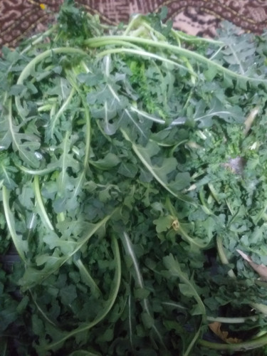 images%2Fimage 1738404003396.jpg