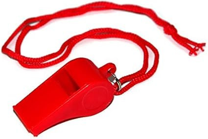 41lsLS+hHGL. AC SX425 .jpg