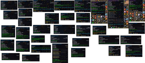 gear in bags and bank.jpg