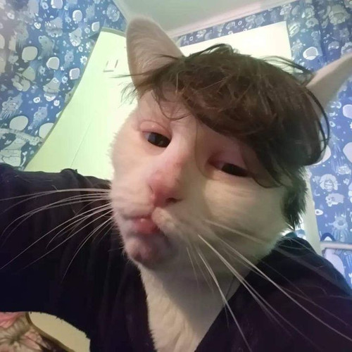 465275267 554596287326831 3433209845411017949 n.jpg