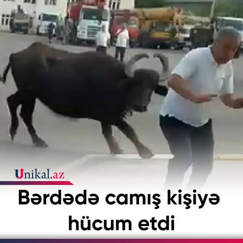 475815988 592687500243857 126487651759272802 n.jpg?stp=dst jpg p526x296 tt6& nc cat=101&ccb=1 7& nc .jpg